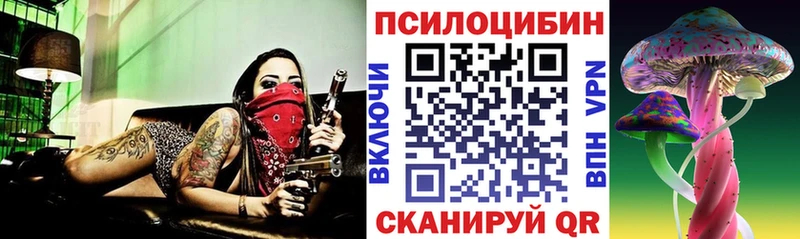 Псилоцибиновые грибы GOLDEN TEACHER  даркнет наркотические препараты  Озёры 